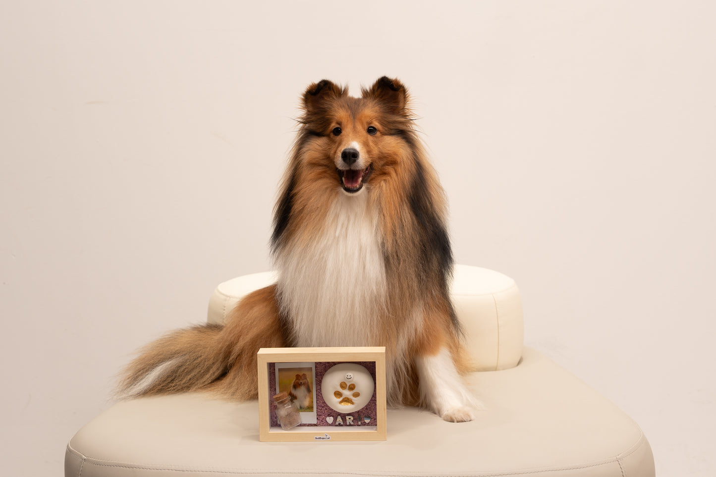 Paw Print Workshop/ On-Site Paw Print Service (5 pax and above)