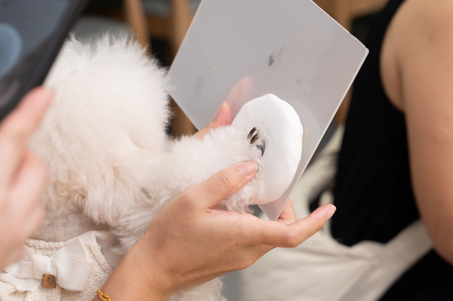 Paw Print Workshop/ On-Site Paw Print Service (5 pax and above)