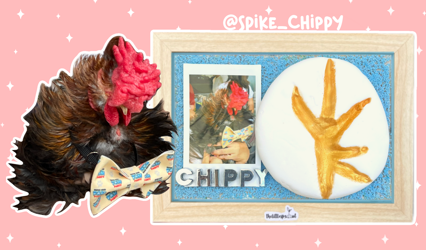 Paw Print DIY Kit (Shadow Box)