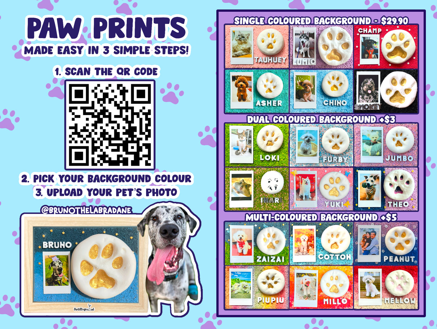 Paw Print DIY Kit (Shadow Box)