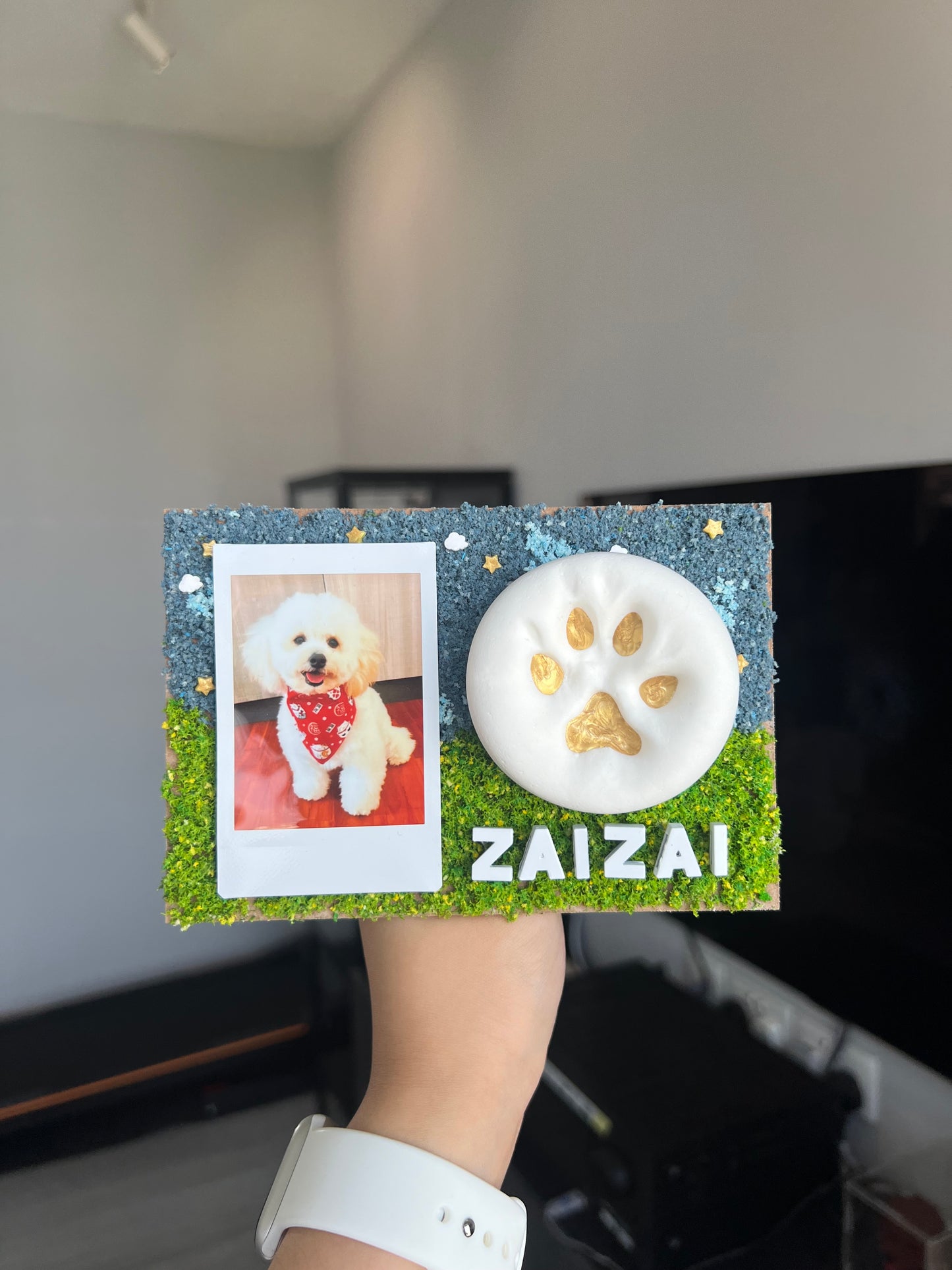 Paw Print Home Service - We Come To You! 🐾✨
