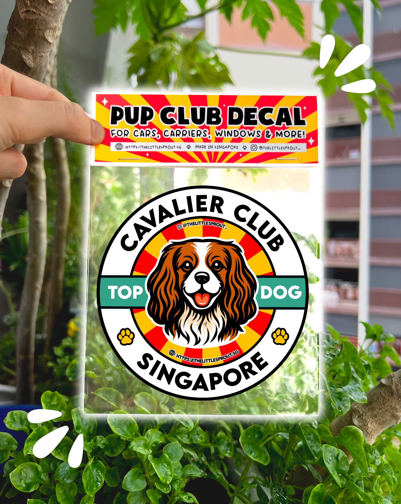 Pup Club Decals Stickers - For Cars, Carriers, Windows, Laptops & More!