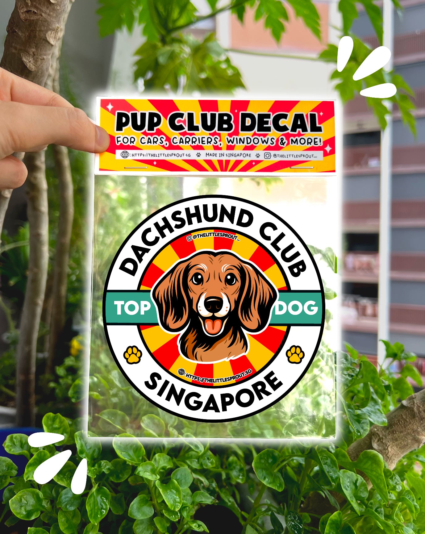 Pup Club Decals Stickers - For Cars, Carriers, Windows, Laptops & More!