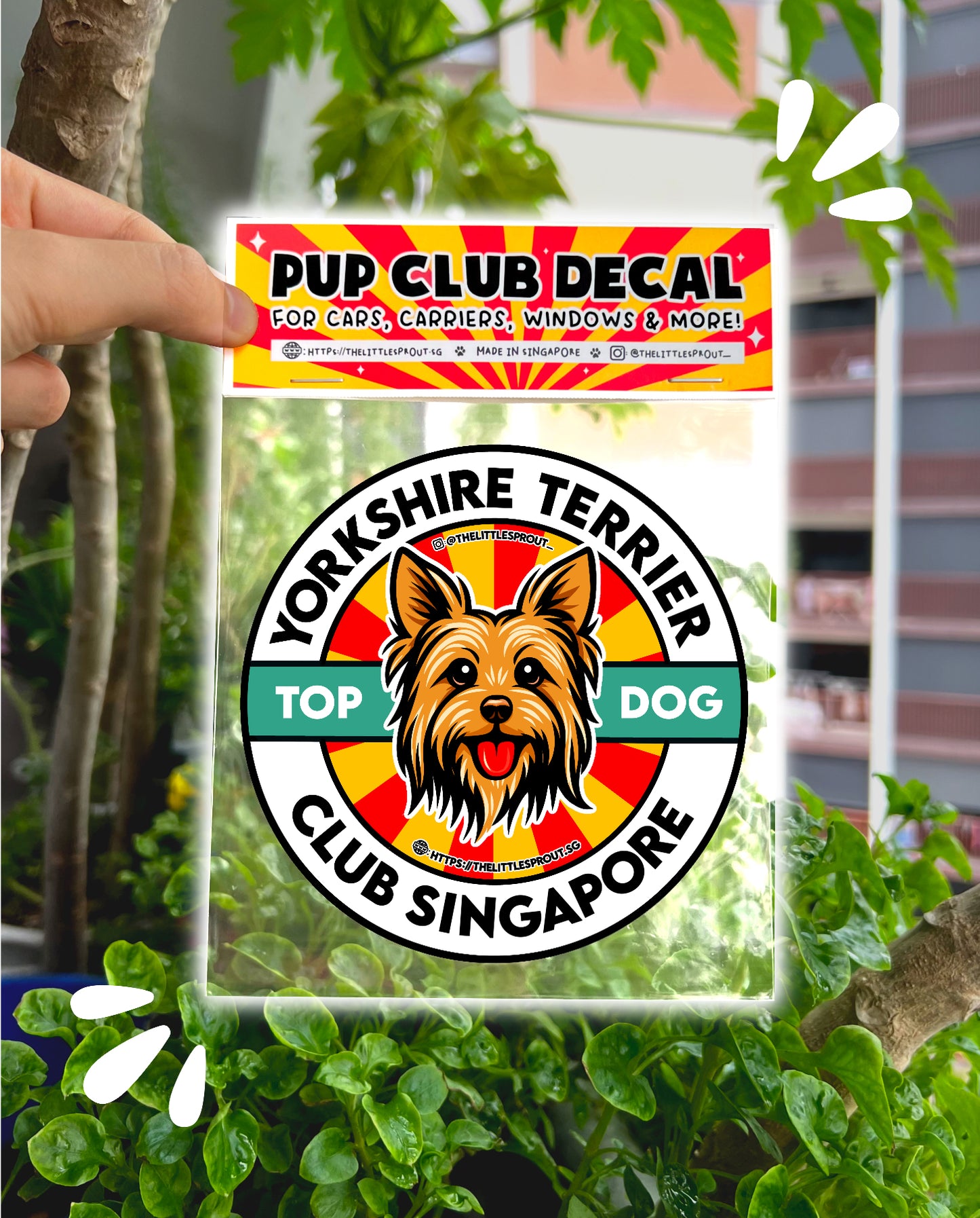 Pup Club Decals Stickers - For Cars, Carriers, Windows, Laptops & More!