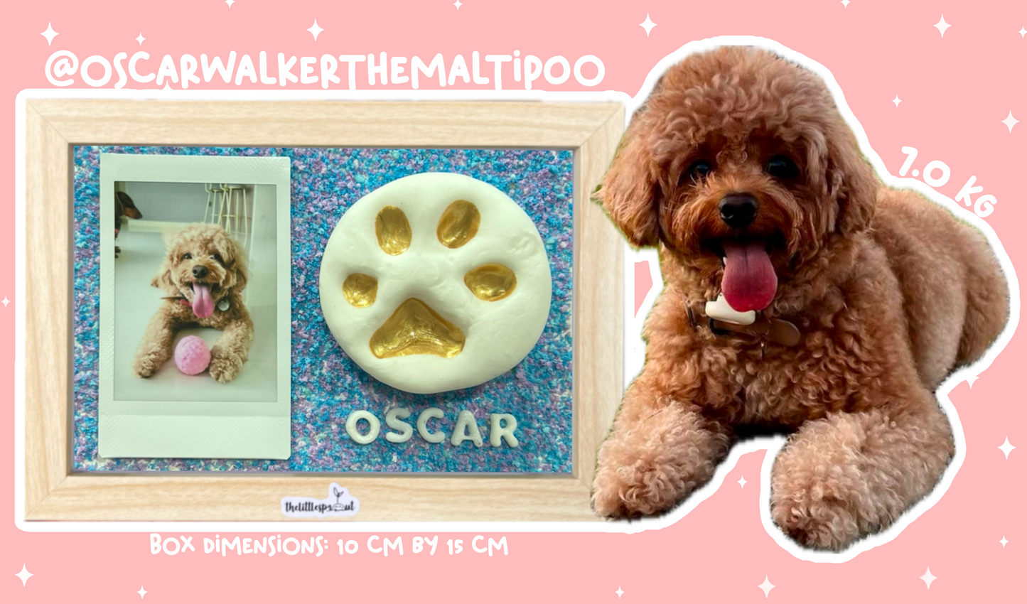 Paw Print DIY Kit (Shadow Box)