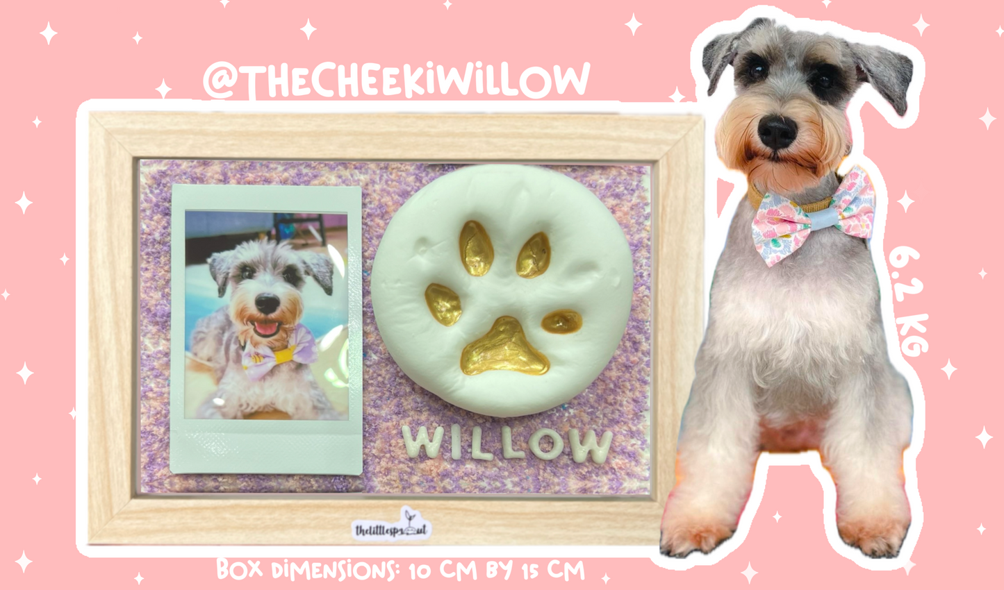 Paw Print DIY Kit (Shadow Box)