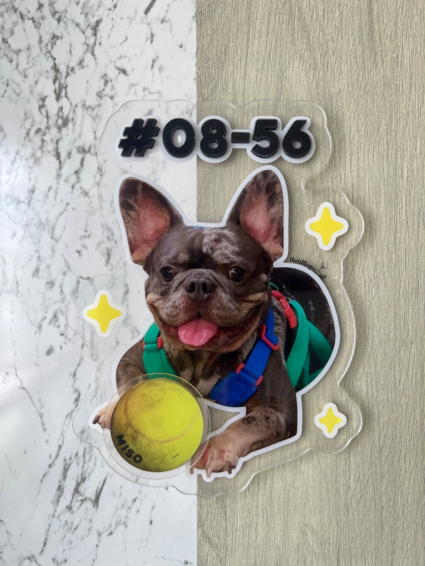 Personalised Pet Unit Door Sign