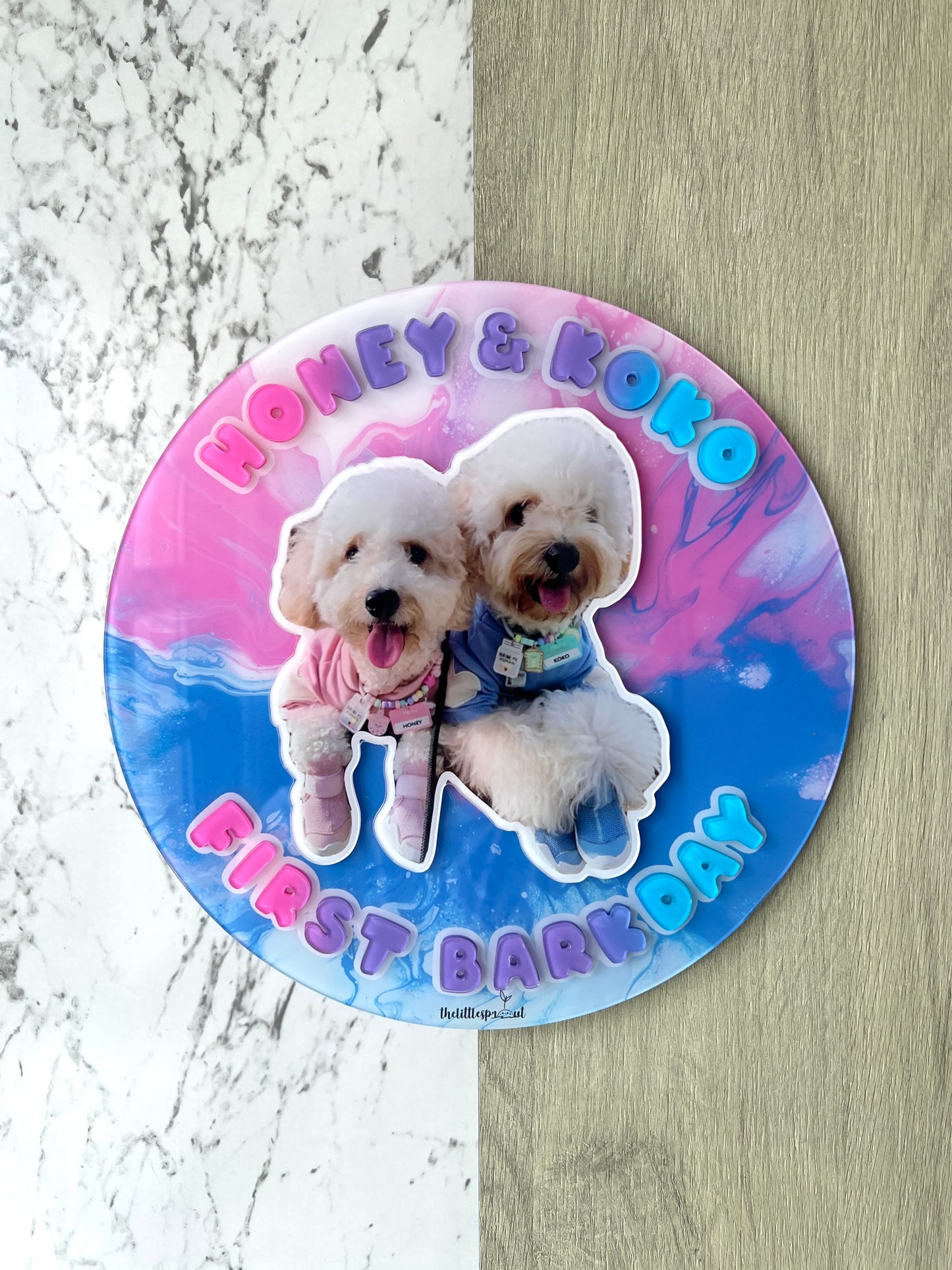 Personalised Pet Unit Door Sign