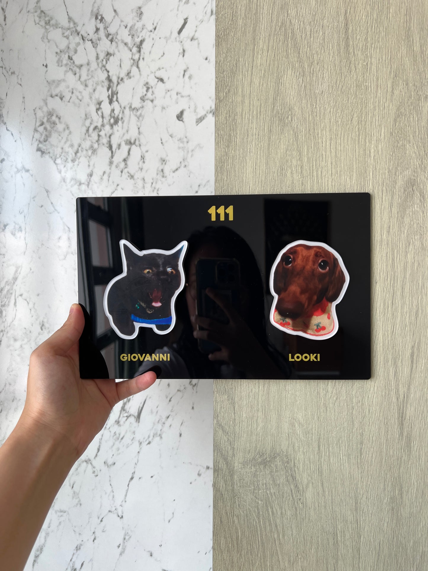 Personalised Pet Unit Door Sign