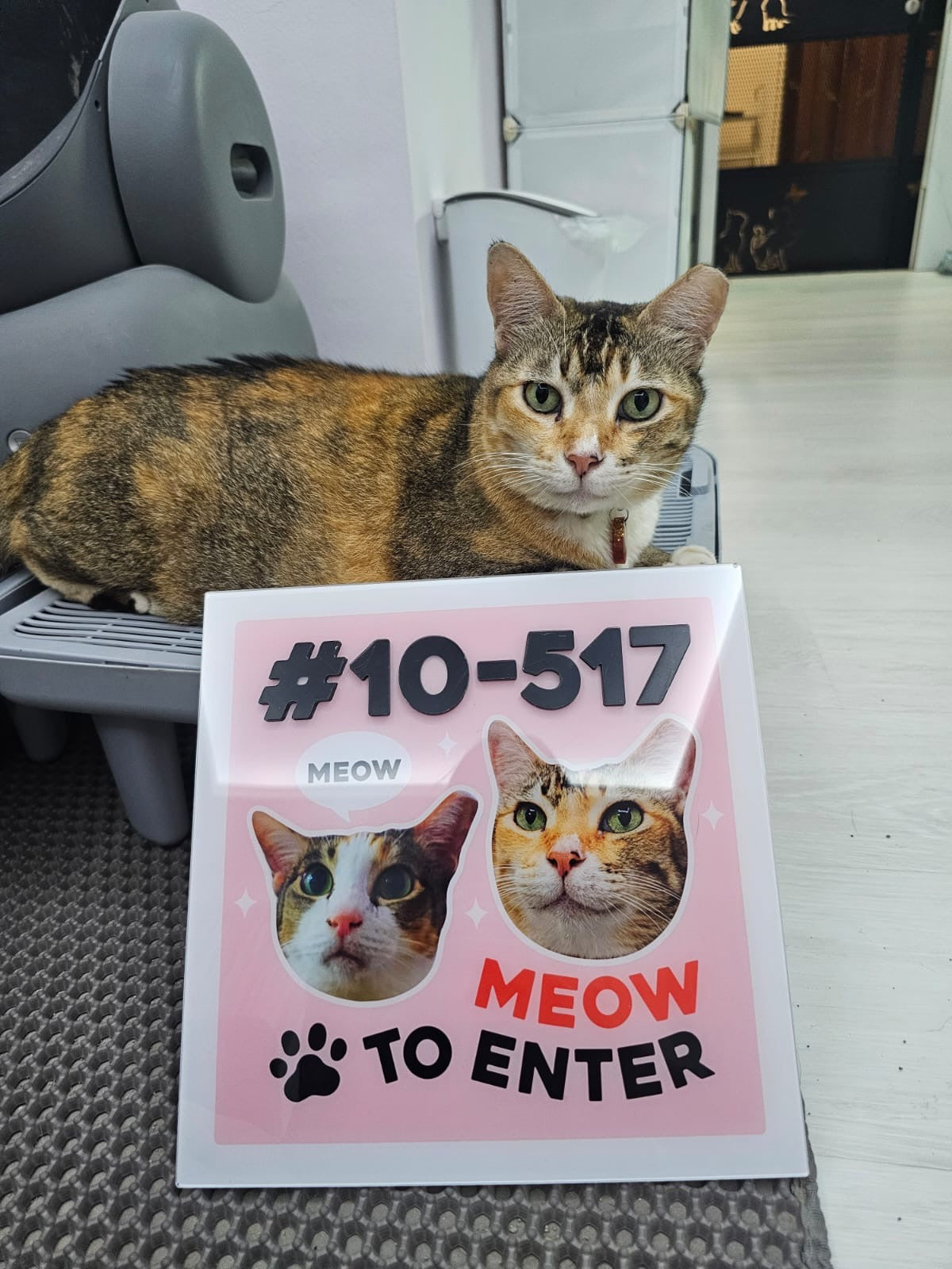 Personalised Pet Unit Door Sign