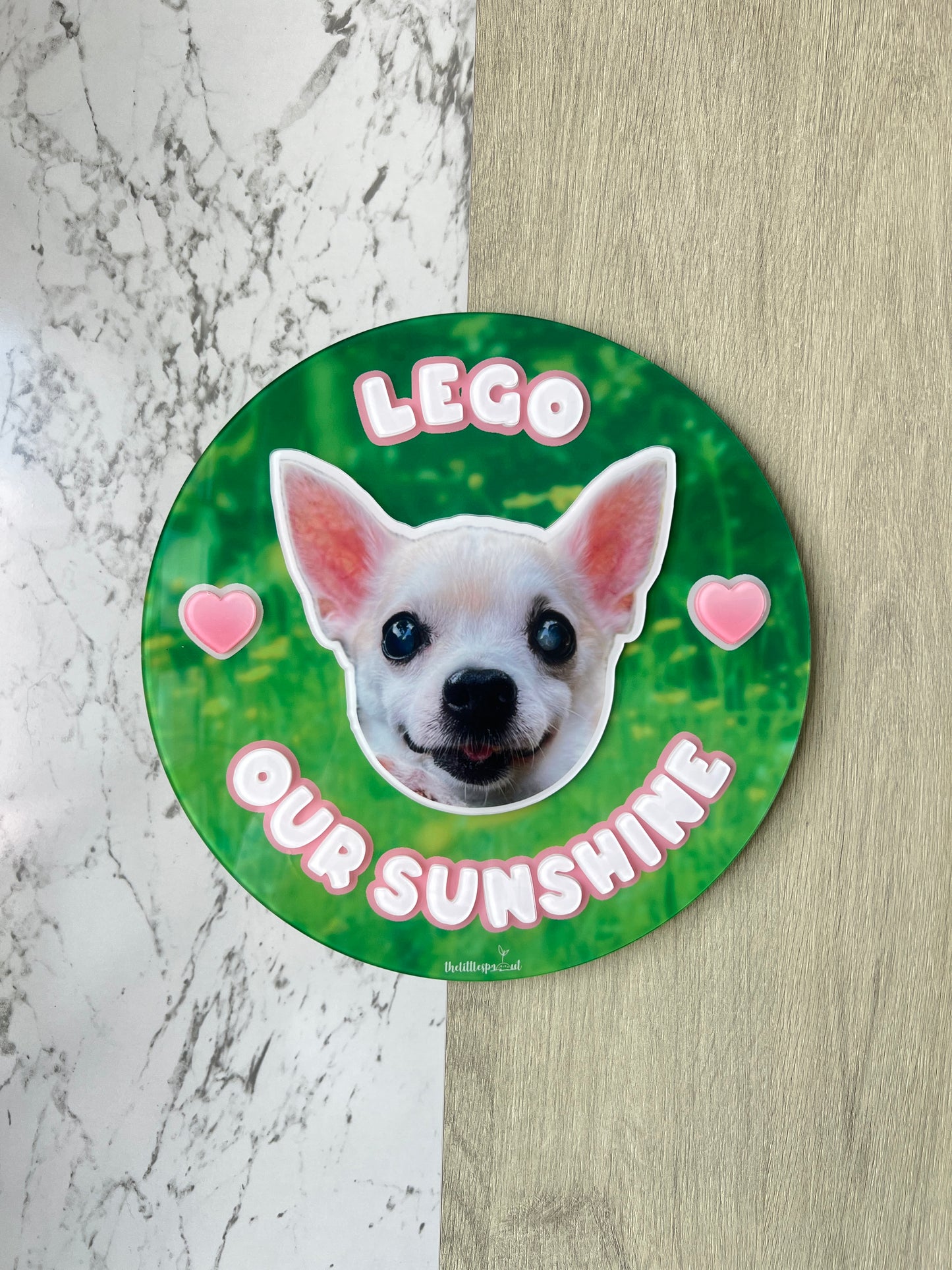 Personalised Pet Unit Door Sign