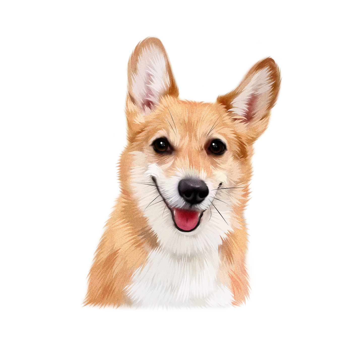 Custom Handmade Pet Illustration