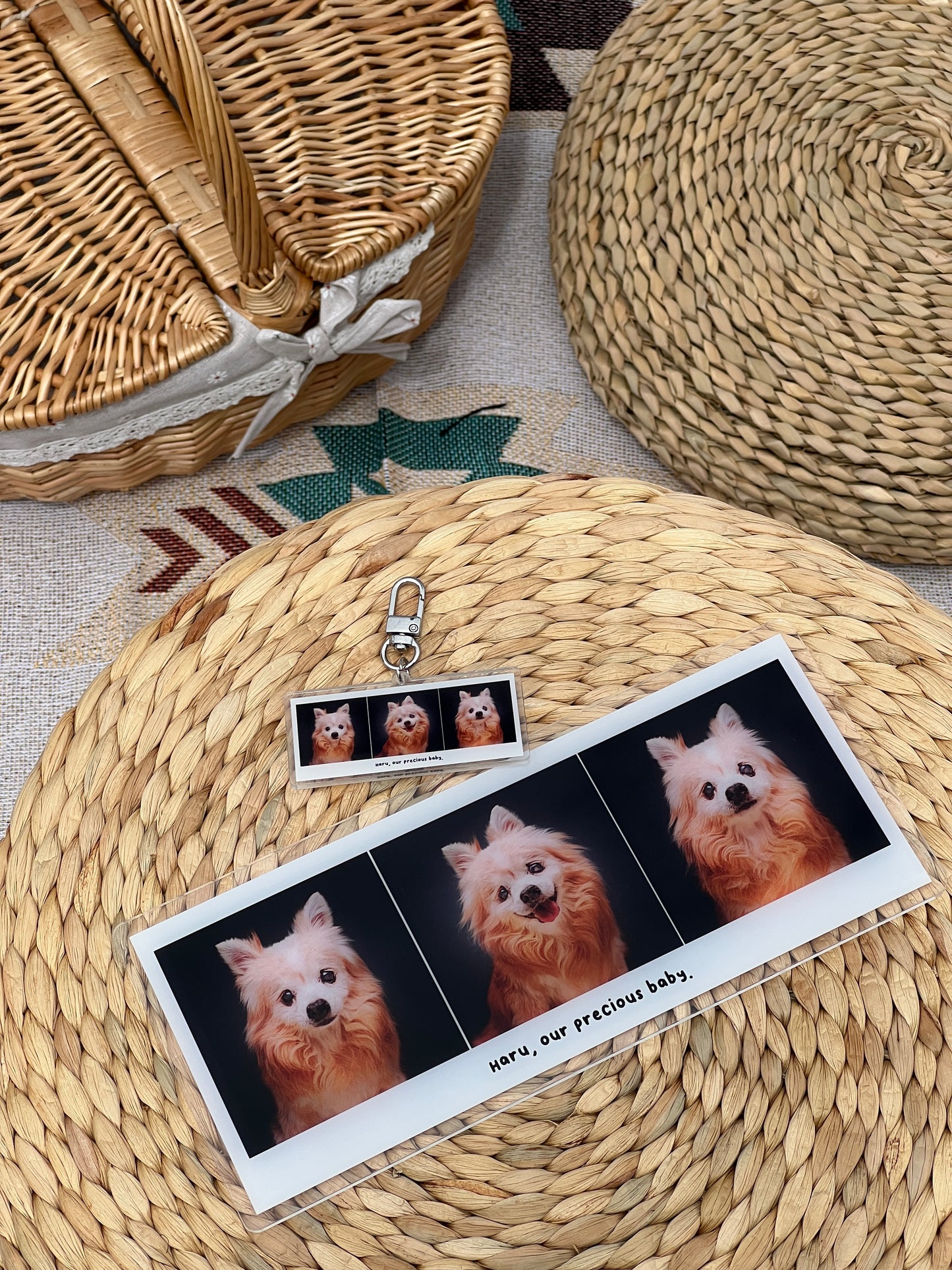Personalised Pet Unit Door Sign