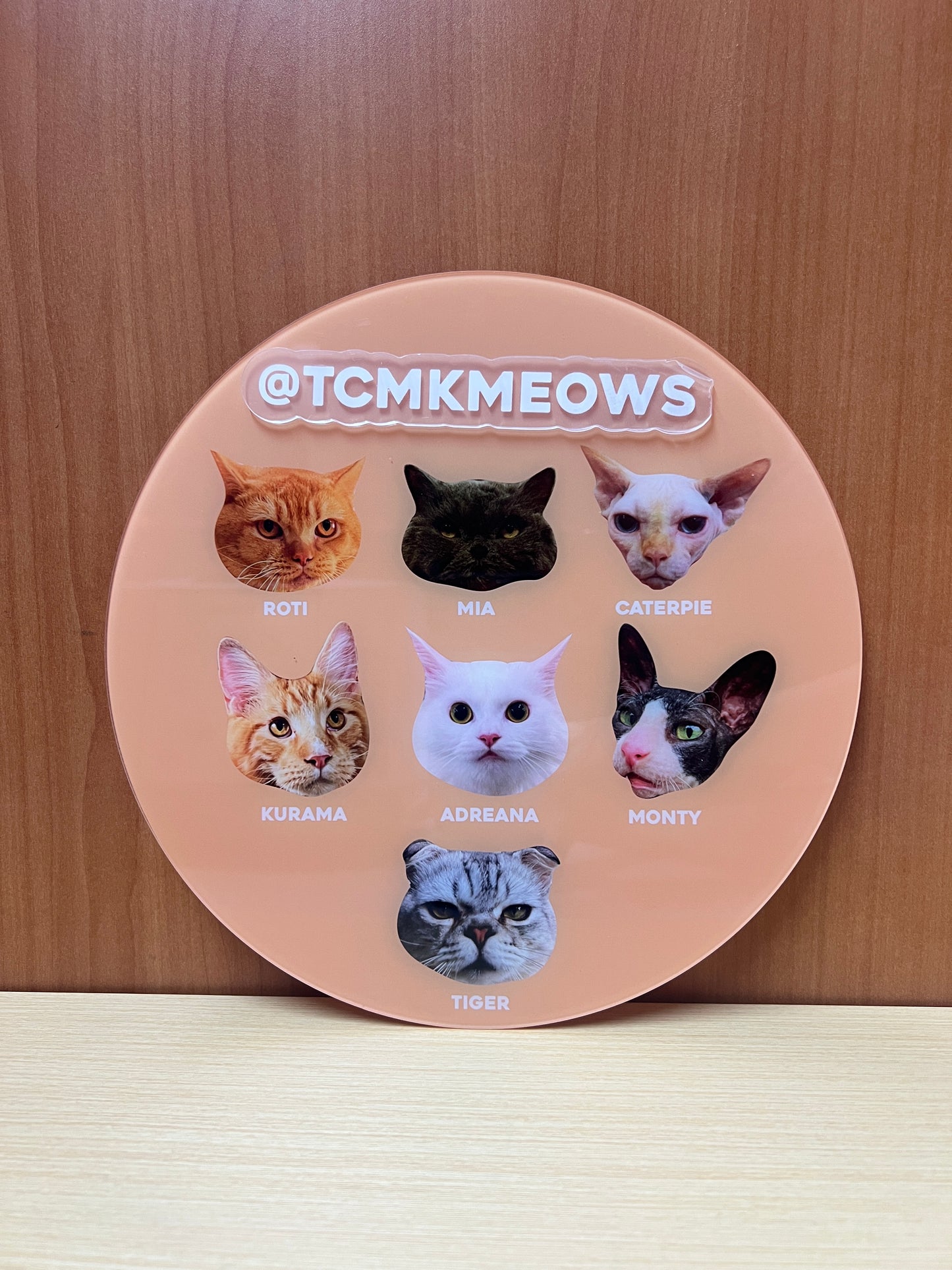 Personalised Pet Unit Door Sign