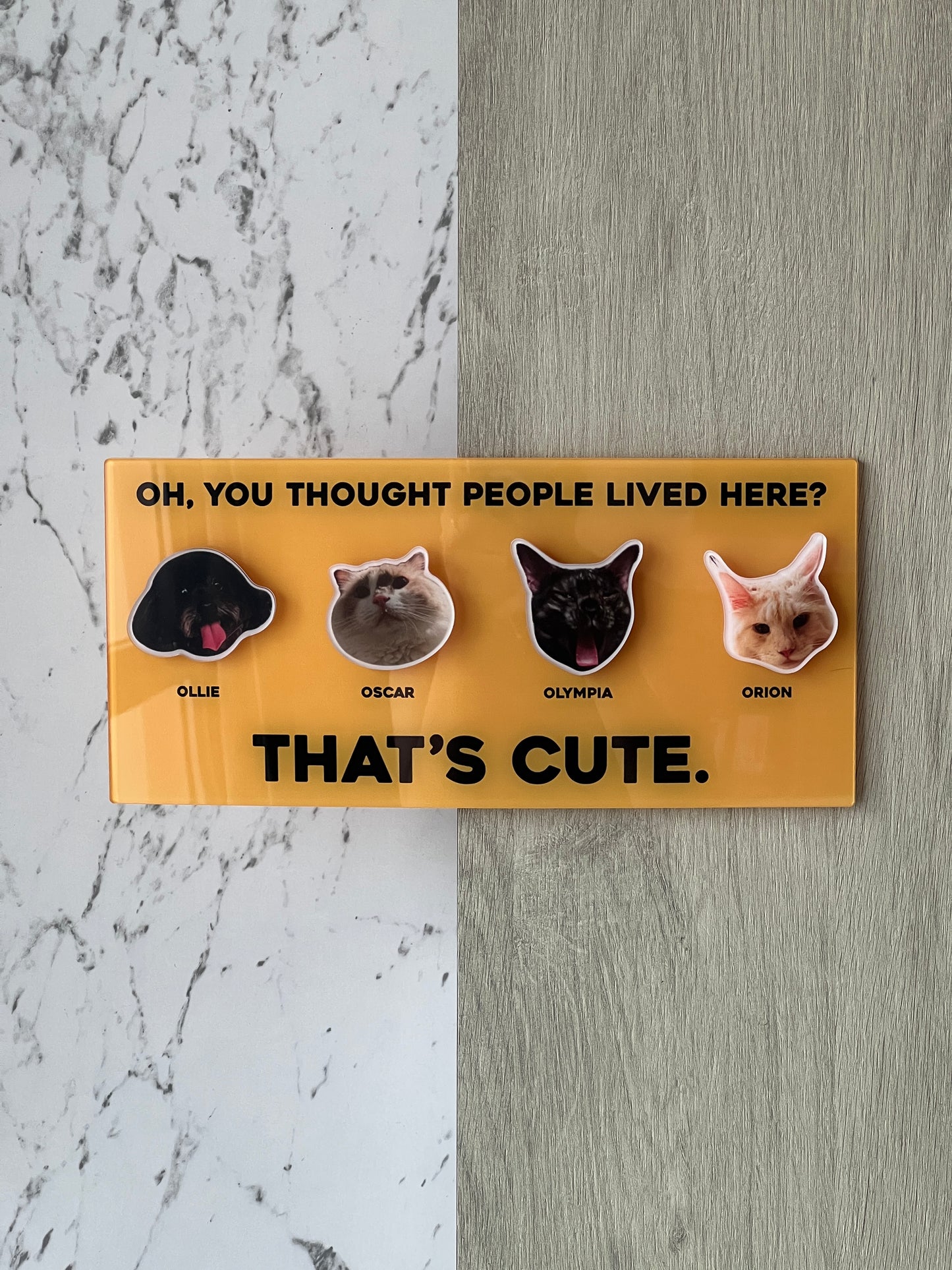 Personalised Pet Unit Door Sign