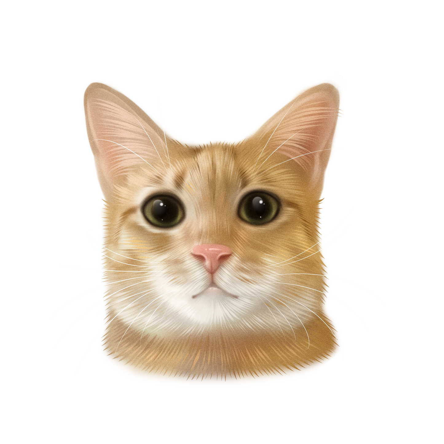 Custom Handmade Pet Illustration