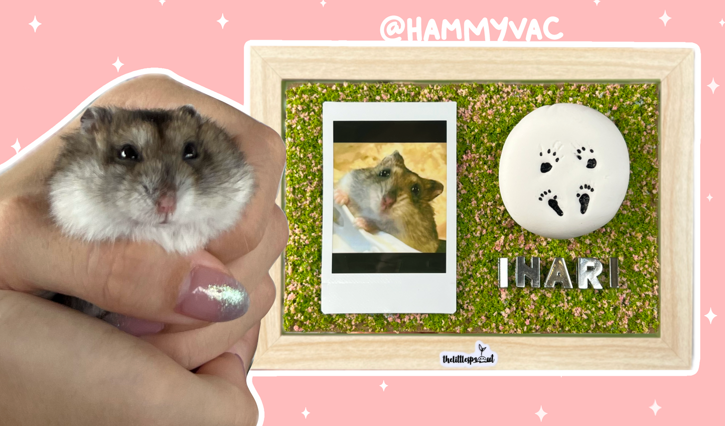 Paw Print DIY Kit (Shadow Box)