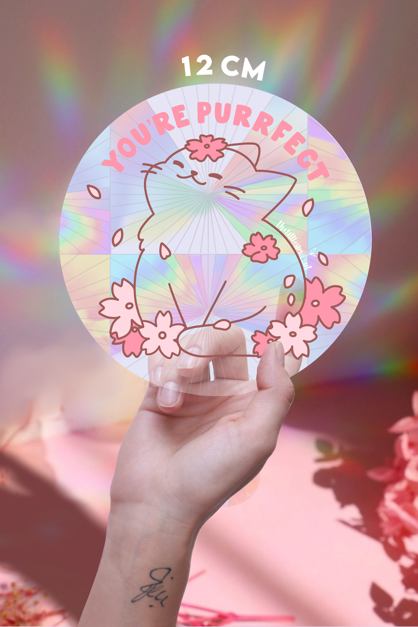 Suncatcher Decal (Makes Rainbows!🌈)