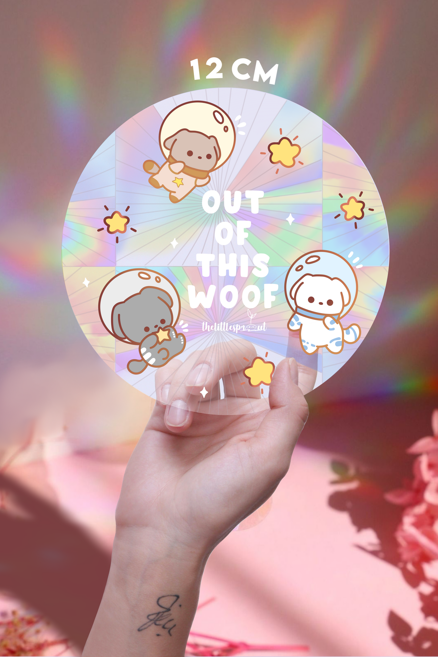 Suncatcher Decal (Makes Rainbows!🌈)