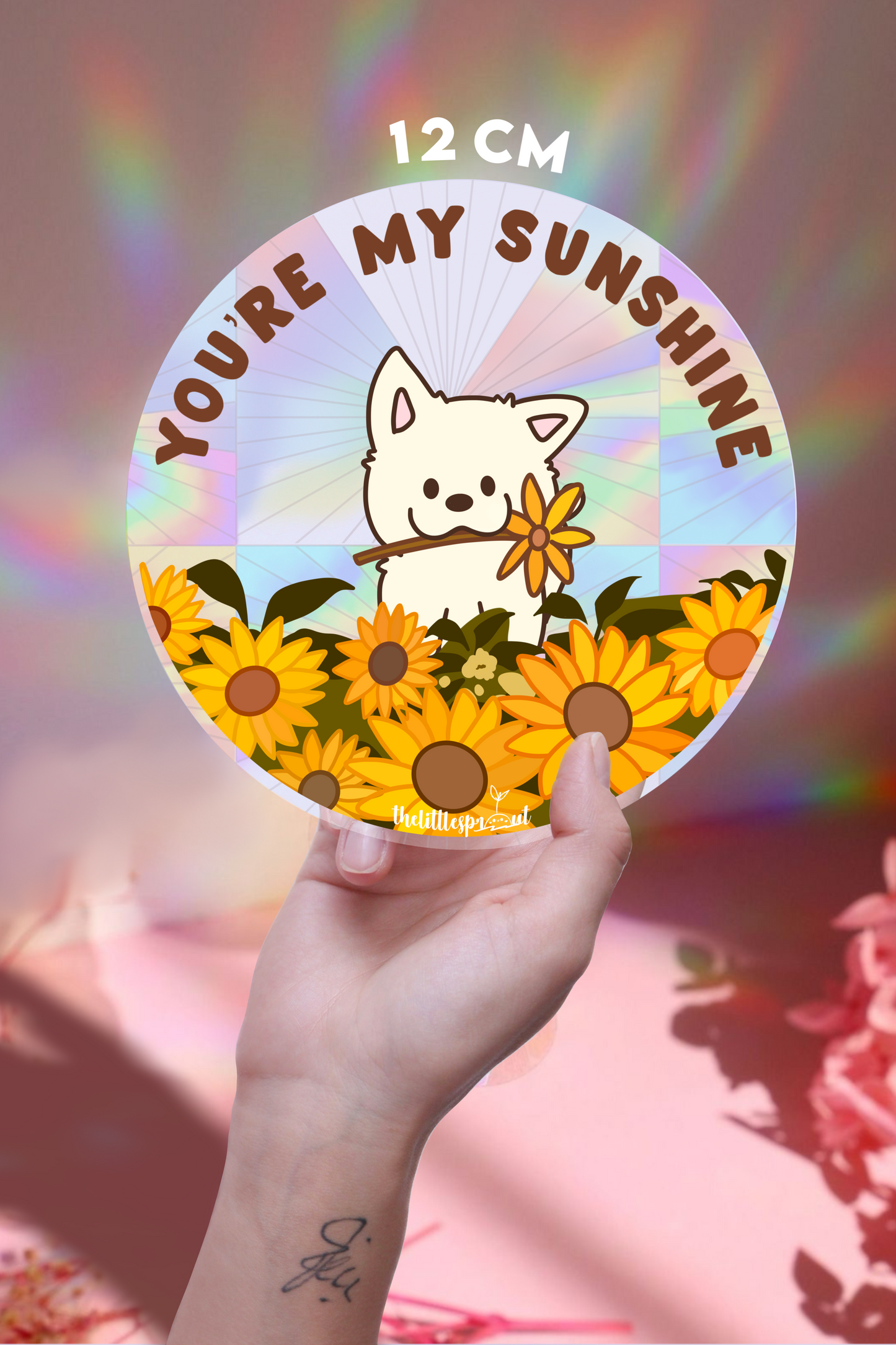 Suncatcher Decal (Makes Rainbows!🌈)