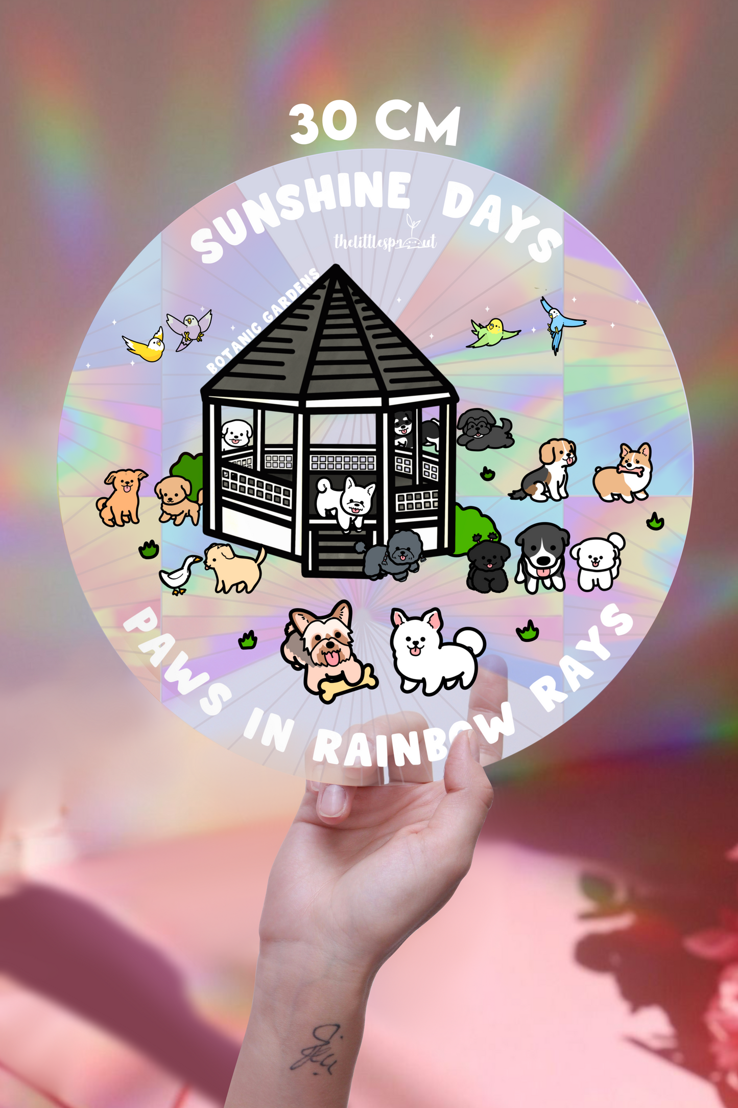 Suncatcher Decal (Makes Rainbows!🌈)
