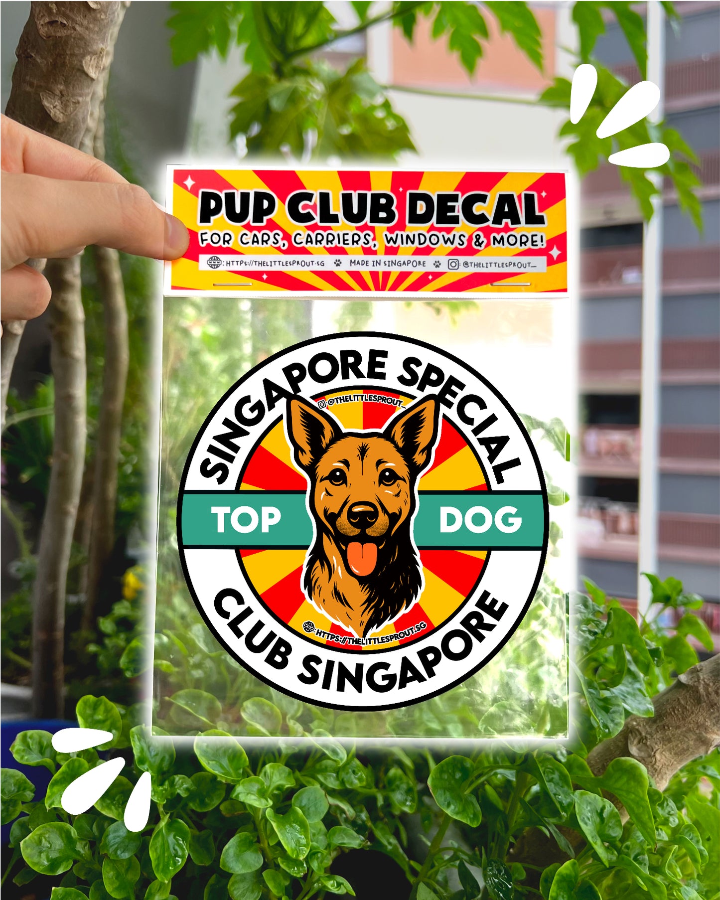 Pup Club Decals Stickers  - For Cars, Carriers, Windows, Laptops & More!
