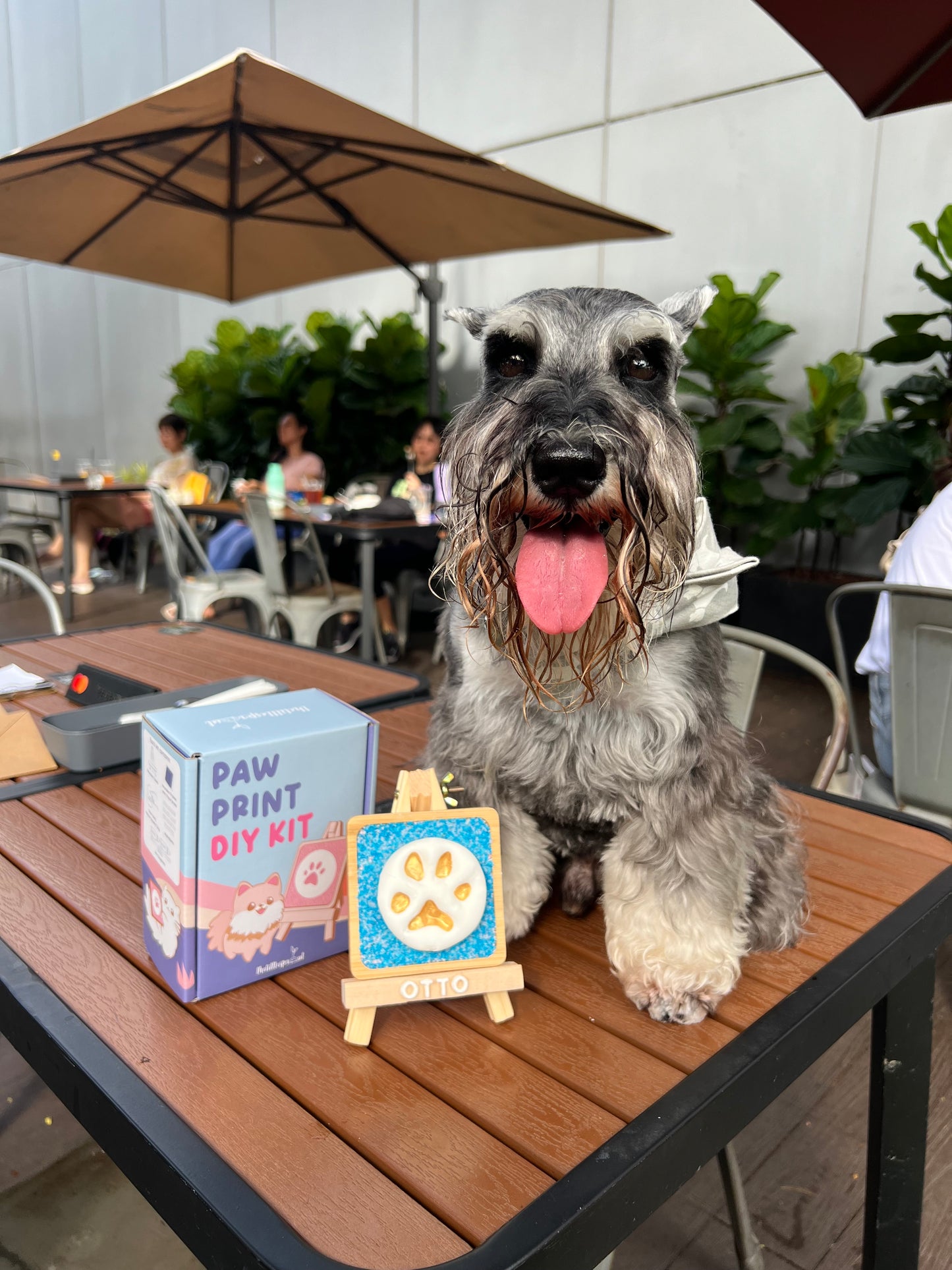 Paw Print DIY Kit (Easel)