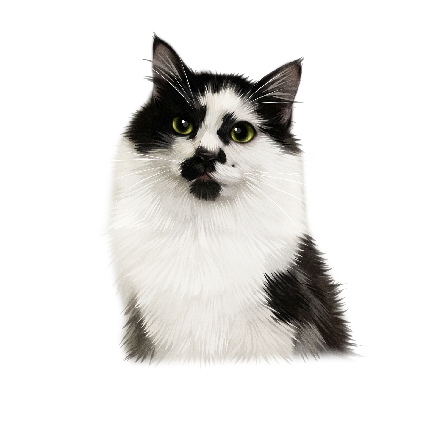 Custom Handmade Pet Illustration