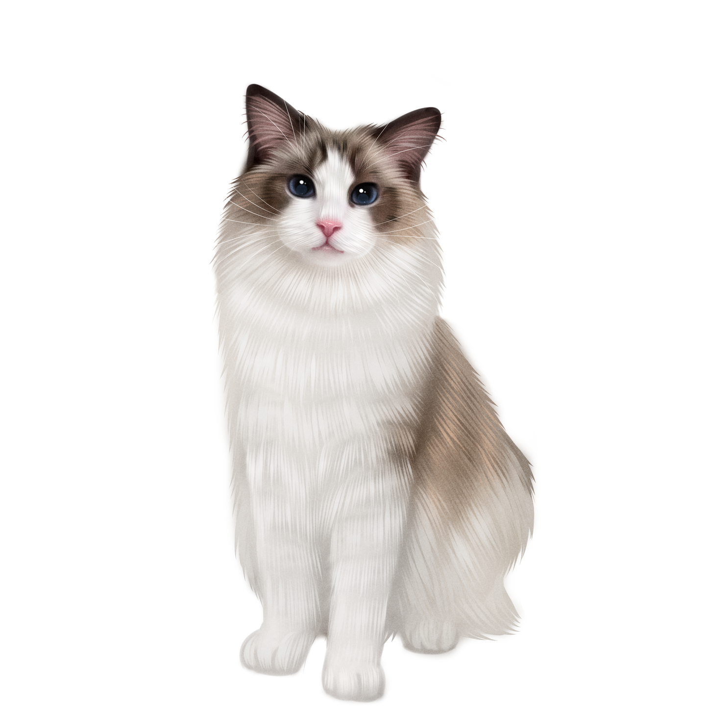 Custom Handmade Pet Illustration