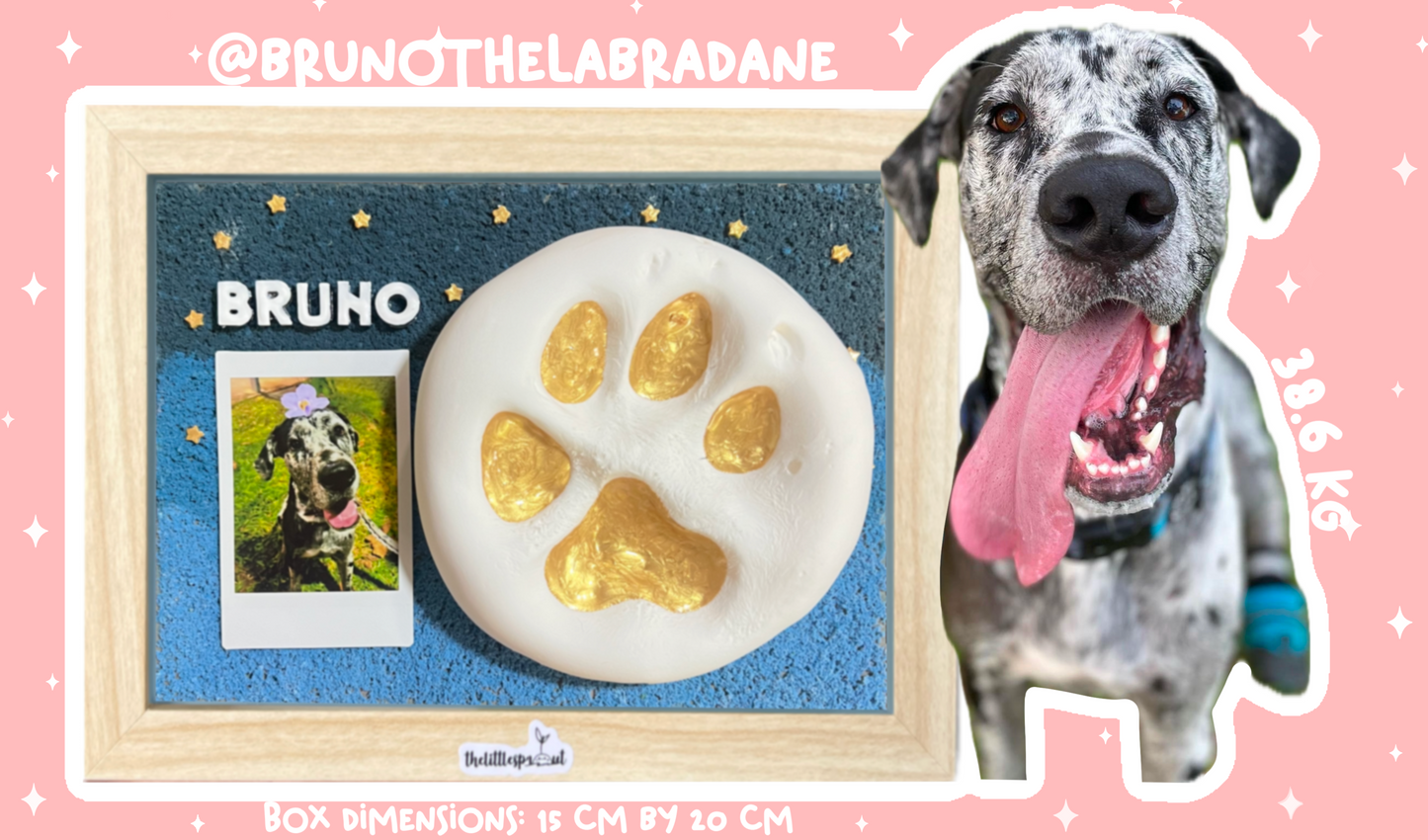 Paw Print DIY Kit (Shadow Box)