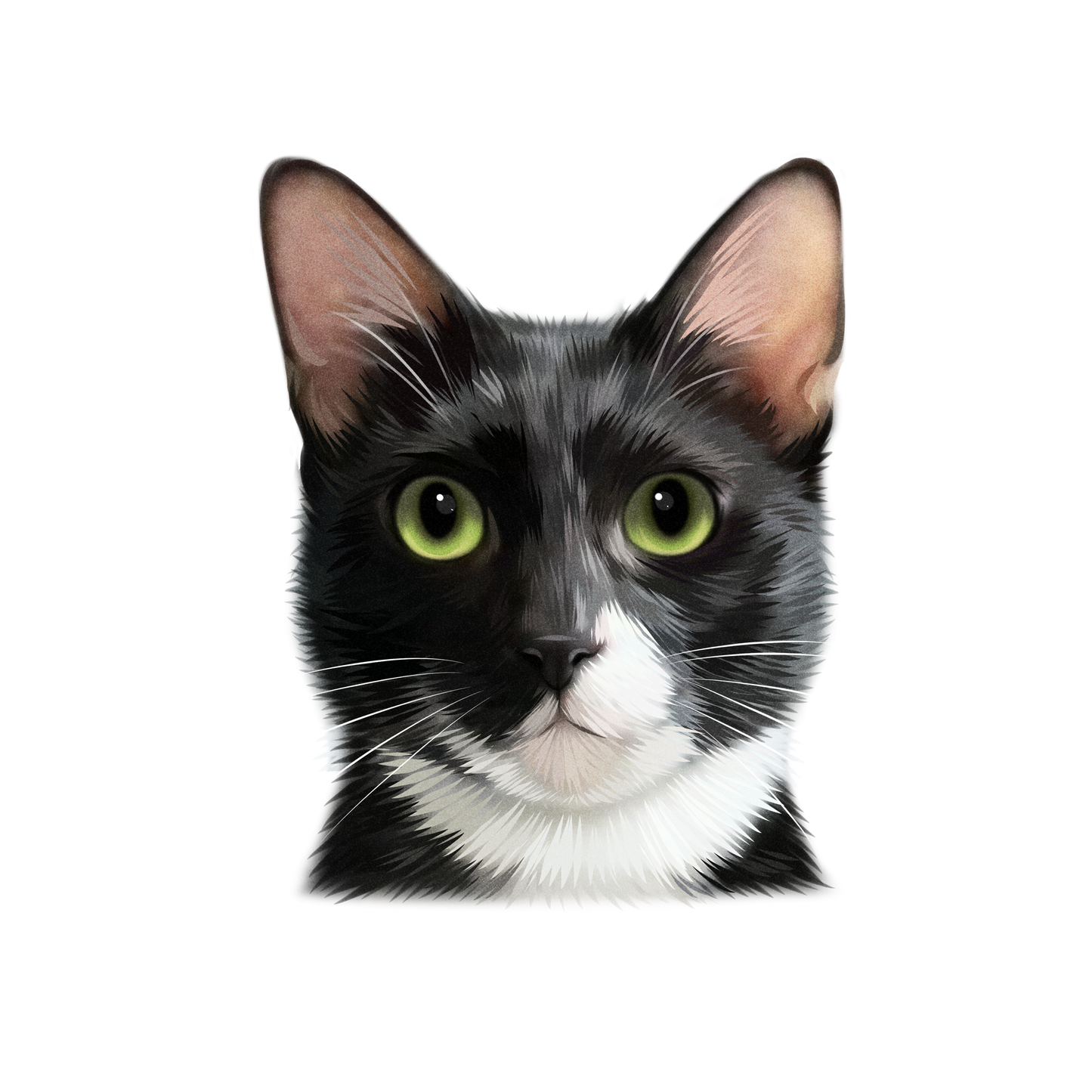 Custom Handmade Pet Illustration