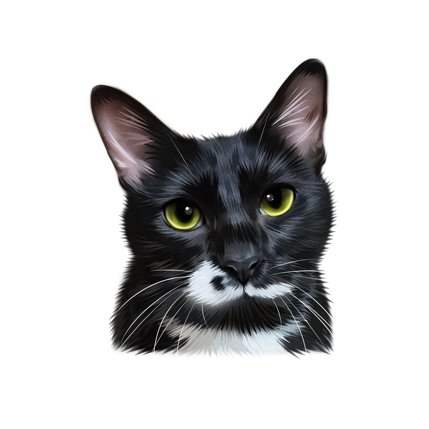 Custom Handmade Pet Illustration